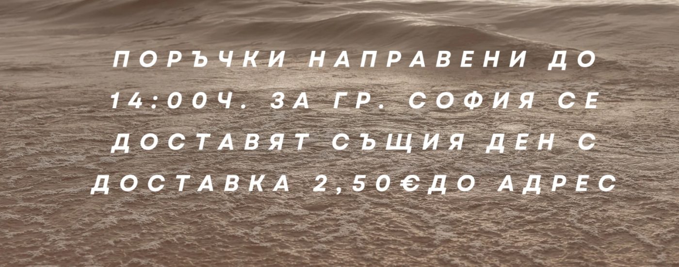 WhatsApp Image 2026-02-19 at 17.11.49 (1)